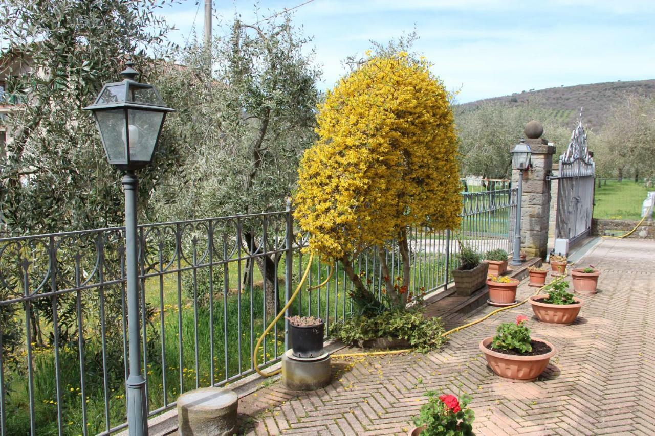 Hostal Le Coccole Del Trasimeno Tuoro sul Trasimeno Exterior foto